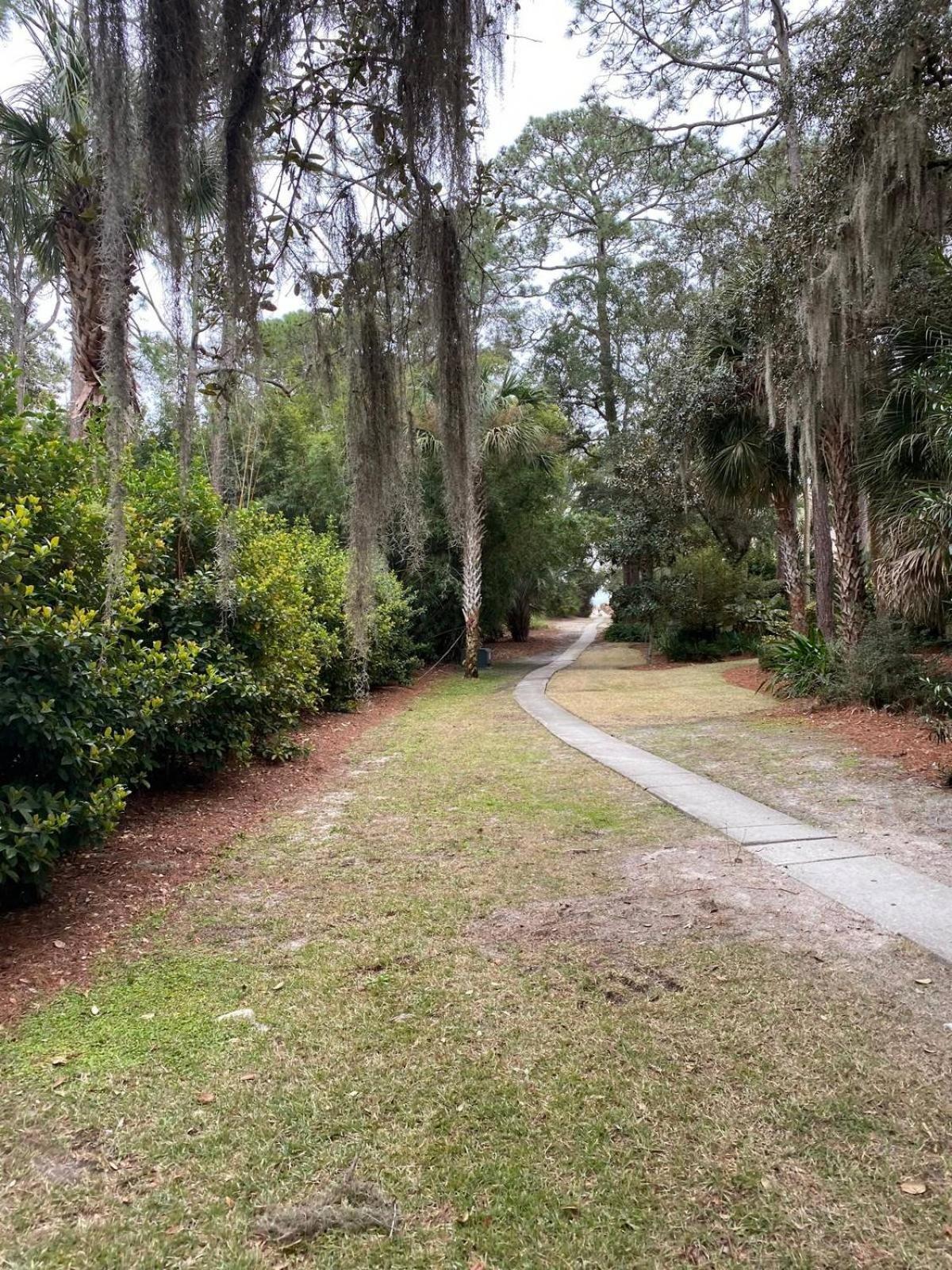 6 Wood Ibis - Host2Coast Βίλα Hilton Head Island Εξωτερικό φωτογραφία